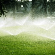 Sprinklers This image is of a sprinklers